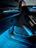 DAS AMBIENT-LED-STREIFENSET FÜR DAS ARMATURENBRETT - PUMA MK2