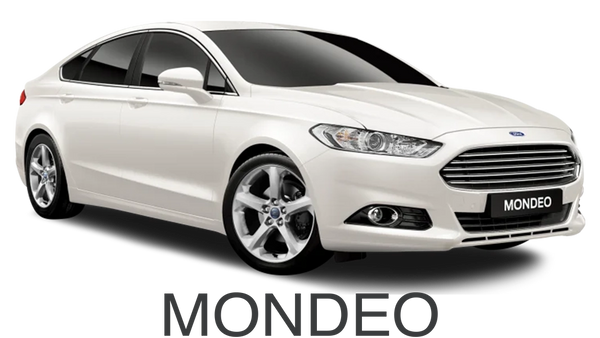Model 5